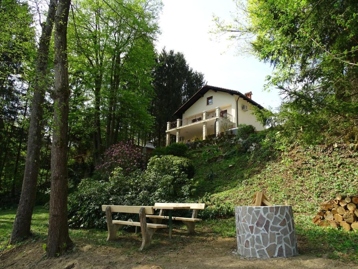 Kolpa Paradise Метлика Экстерьер фото